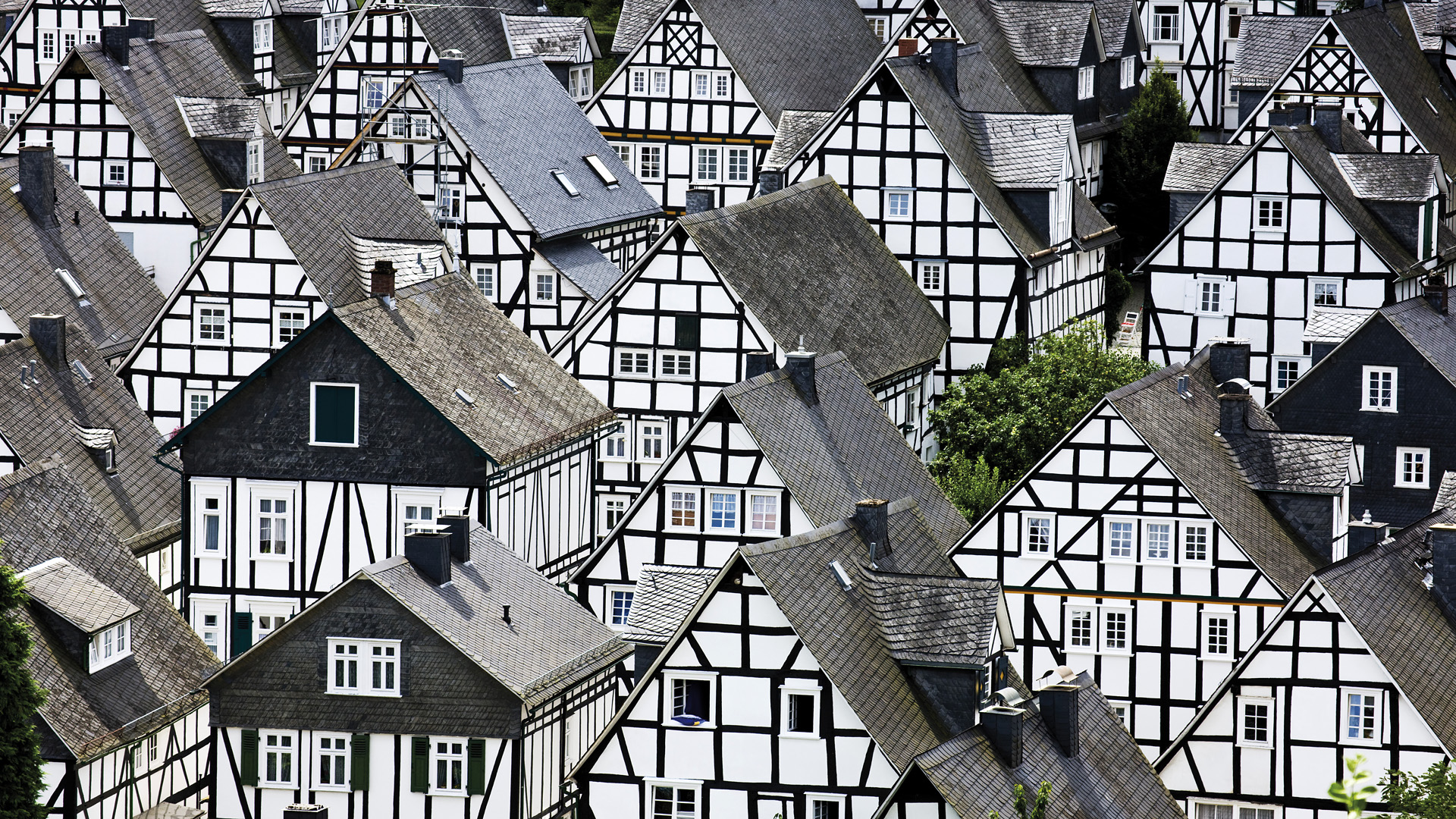 世界体操团体赛赛后康复中心对外开放，世界体操2021